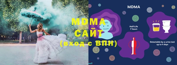 шишки Бородино