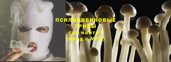 шишки Бородино