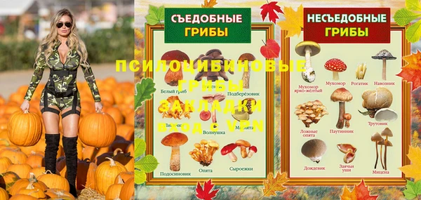 mdpv Верея