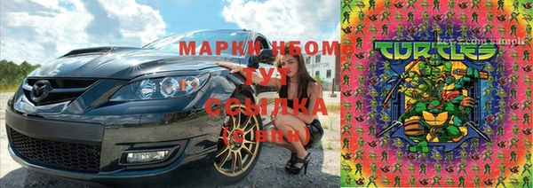 шишки Бородино