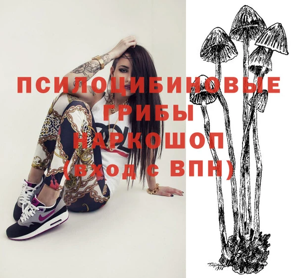 mdpv Верея
