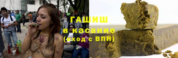 шишки Бородино