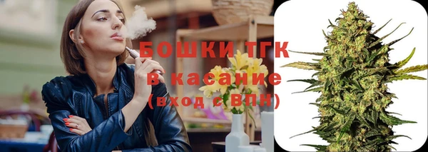 шишки Бородино